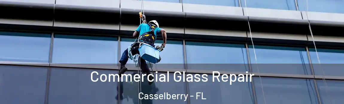 Commercial Glass Repair Casselberry - FL