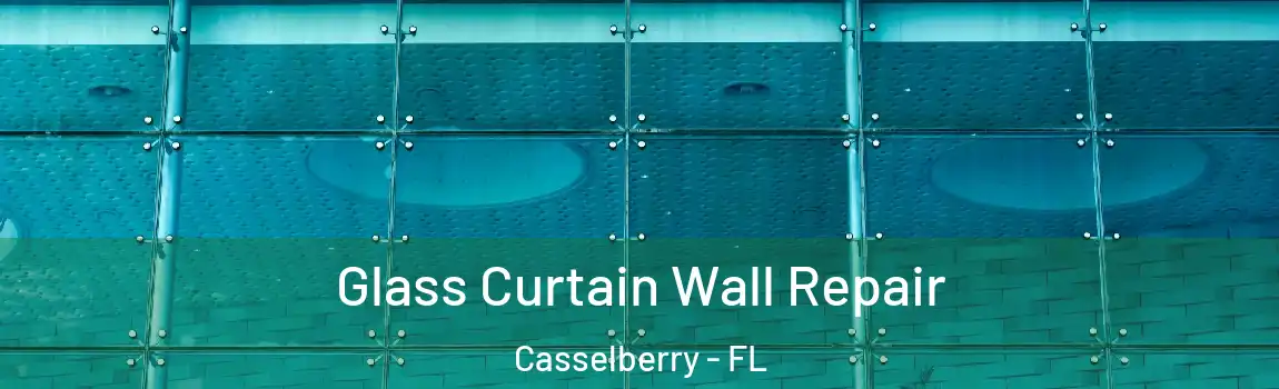 Glass Curtain Wall Repair Casselberry - FL