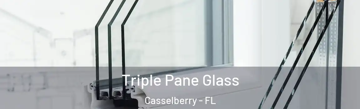 Triple Pane Glass Casselberry - FL